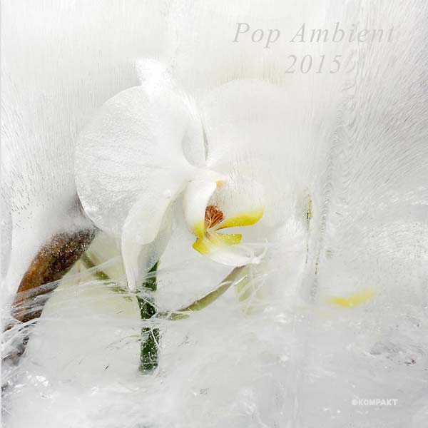 VA | Pop Ambient 2015 | CD