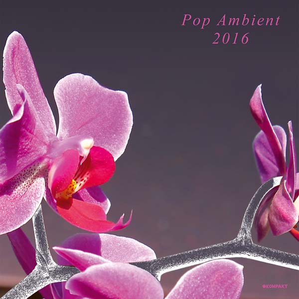 VA | Pop Ambient 2016 | CD