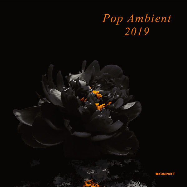 VA | Pop Ambient 2019 | Vinyl