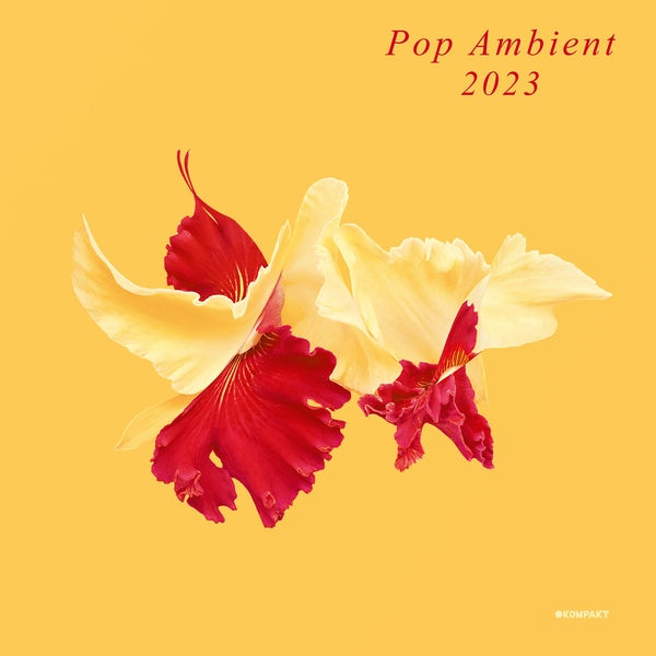 VA | Pop Ambient 2023 | CD