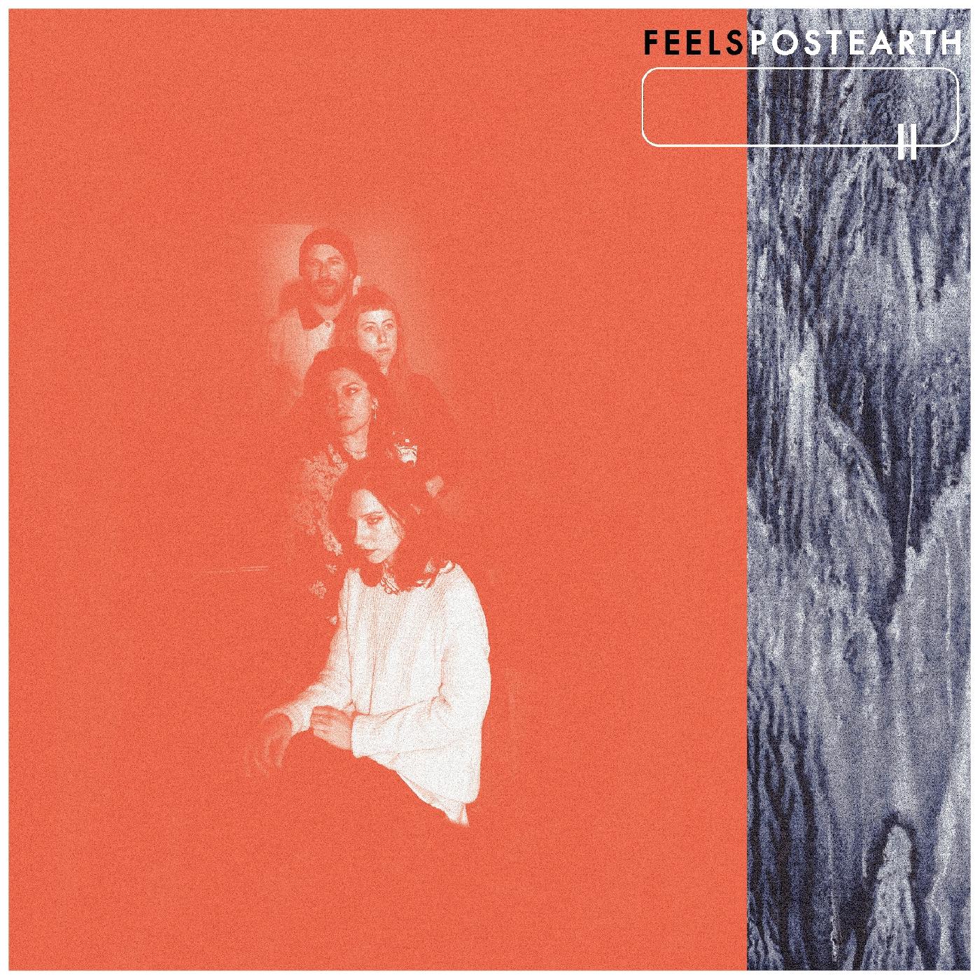 FEELS | Post Earth | Vinyl