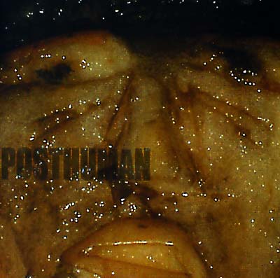 POSTHUMAN - Posthuman | CD