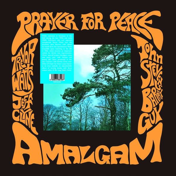 AMALGAM - Prayer For Peace | Vinyl
