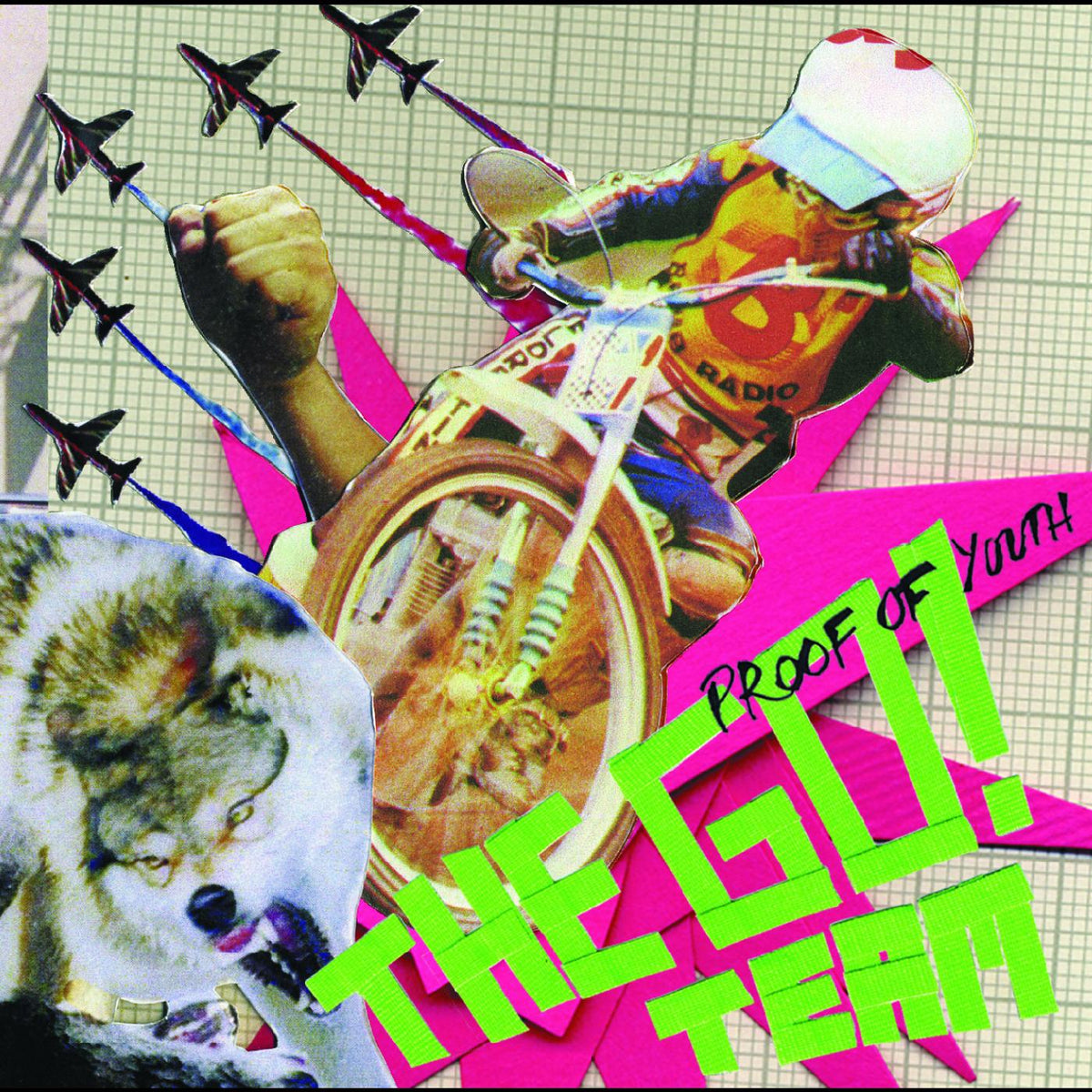 The Go! Team - Proof Of Youth | CD