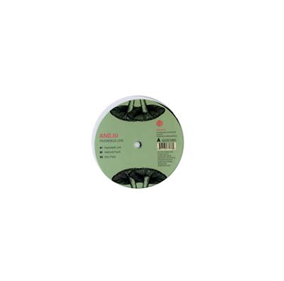 AND.ID - Psychedelic Love | Vinyl