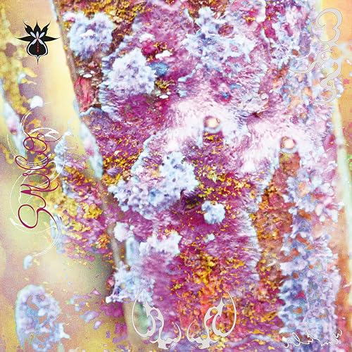 QOA - SAUCO [LP] | Vinyl