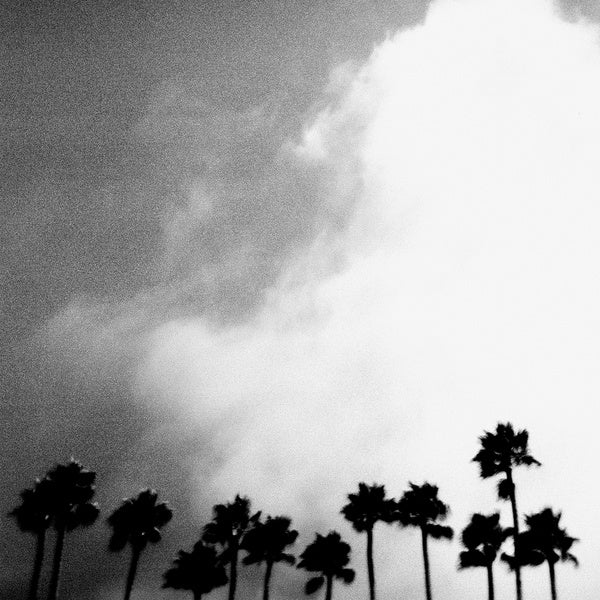 RICHARD ROSE - Radiation Breeze | Vinyl