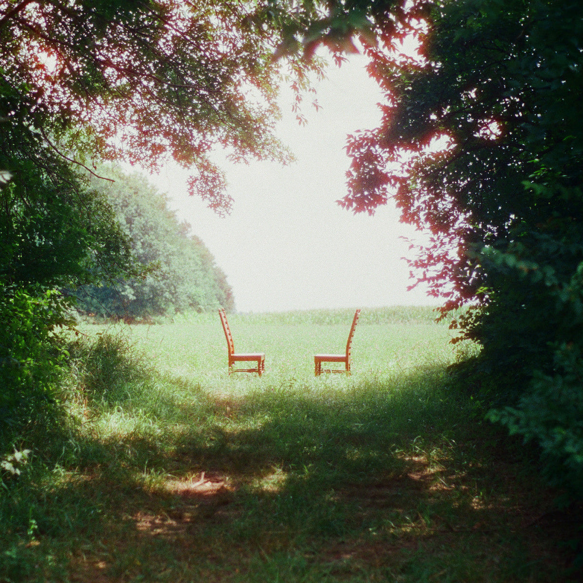 Ratboys - Singin' to an Empty Chair [Pink Cassette] | Cassette