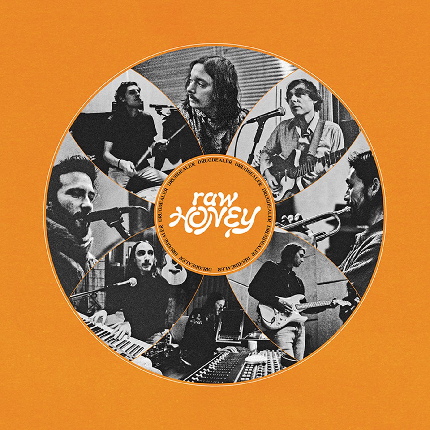 Drugdealer | Raw Honey | CD