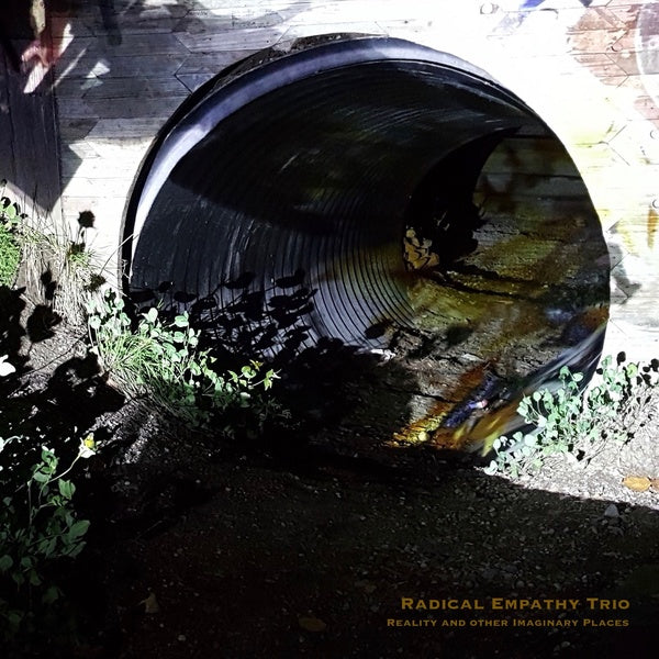 Radical Empathy Trio - Reality And Other Imaginary Places | Vinyl