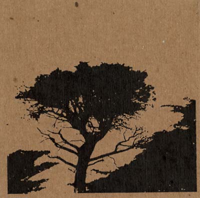 TAIGA REMAINS - Ribbons Of Dust | CD