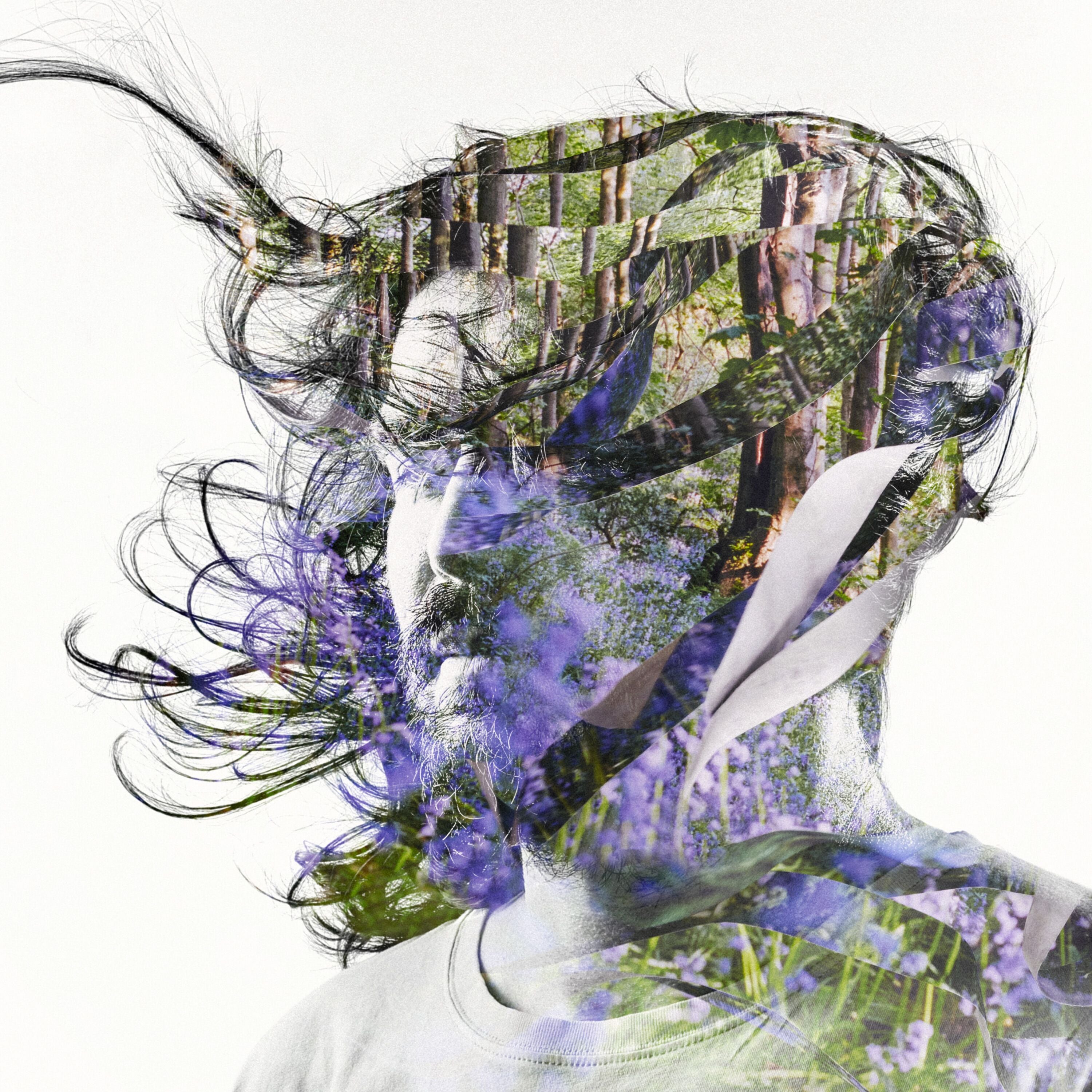 Bibio | Ribbons | Vinyl