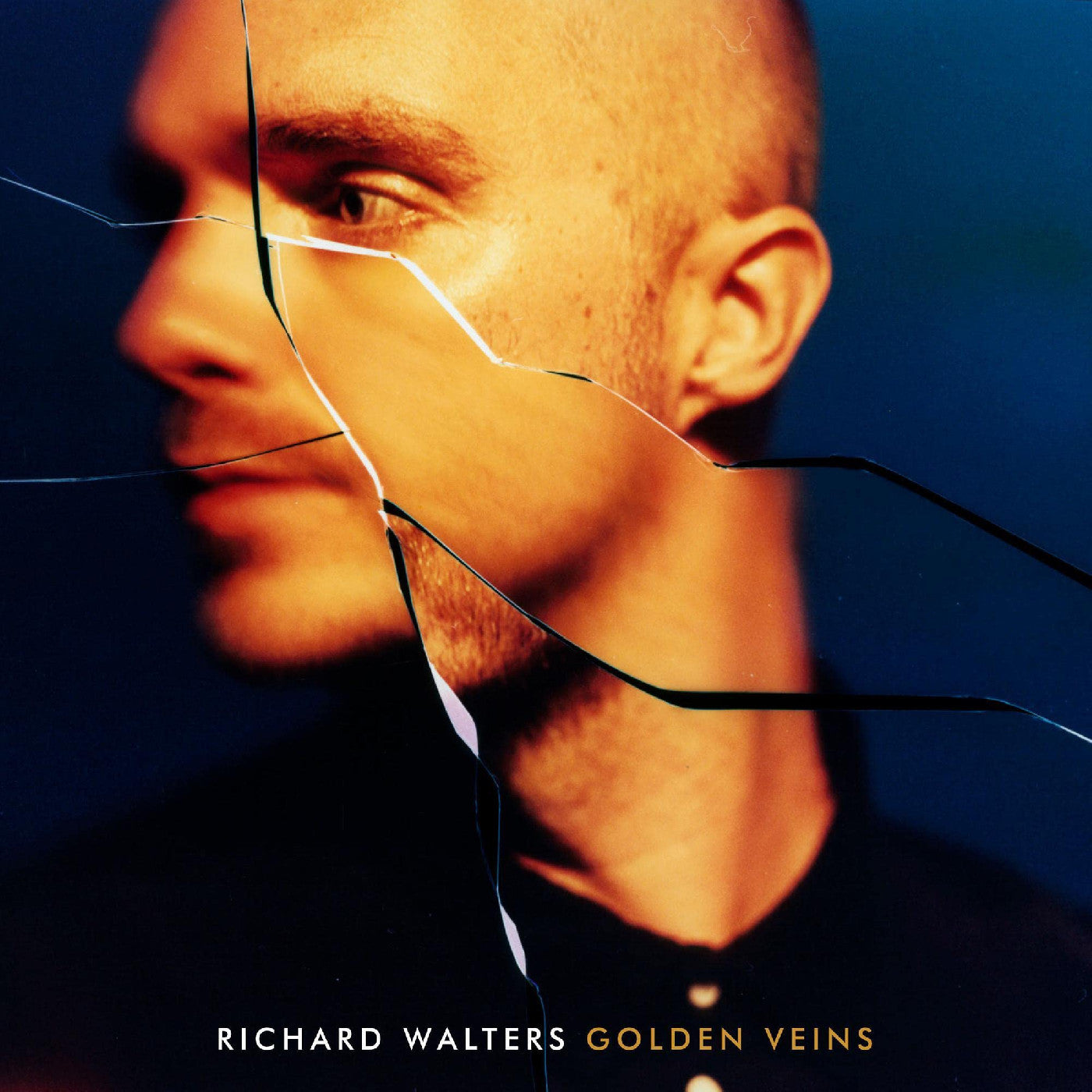 Richard Walters - Golden Veins | CD