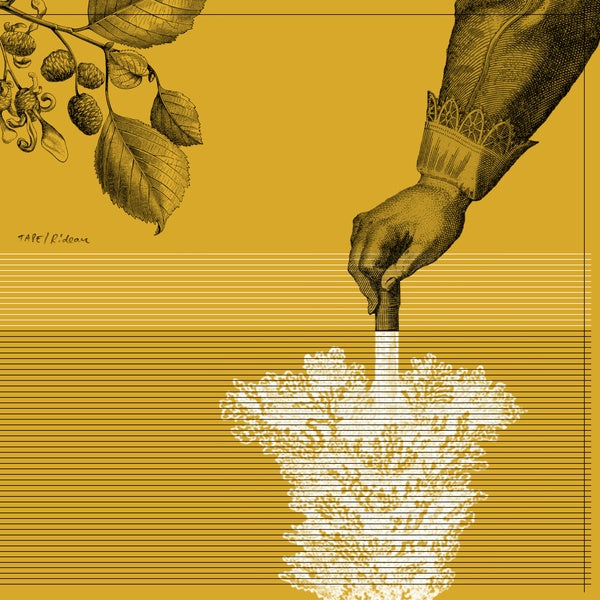 TAPE - Rideau | Vinyl