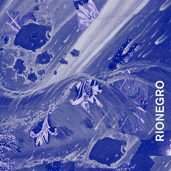 RIONEGRO - Rionegro | Vinyl