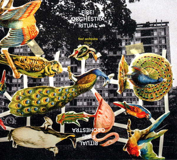 FIRE! ORCHESTRA - Ritual | CD