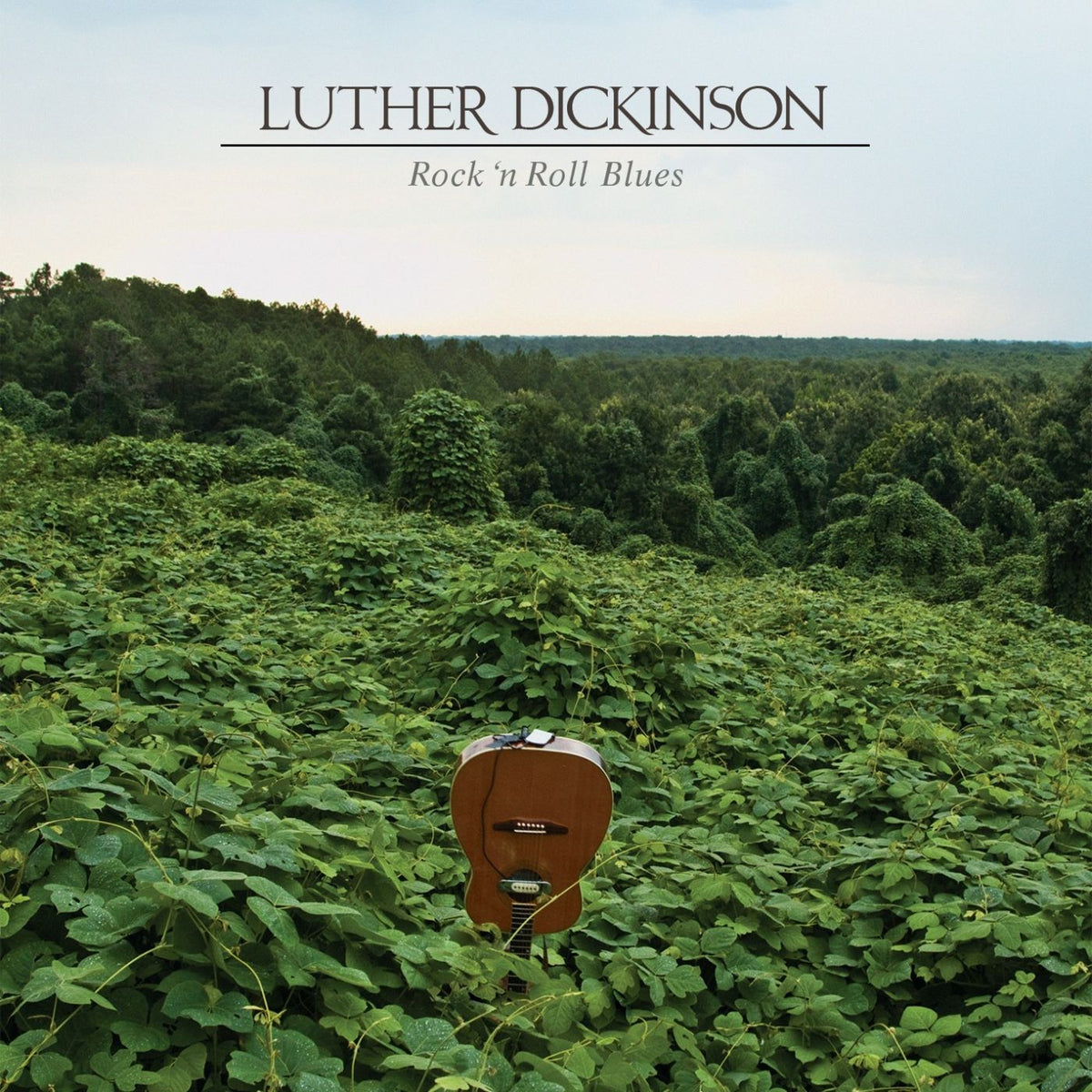 Luther Dickinson - Rock 'n Roll Blues | Vinyl