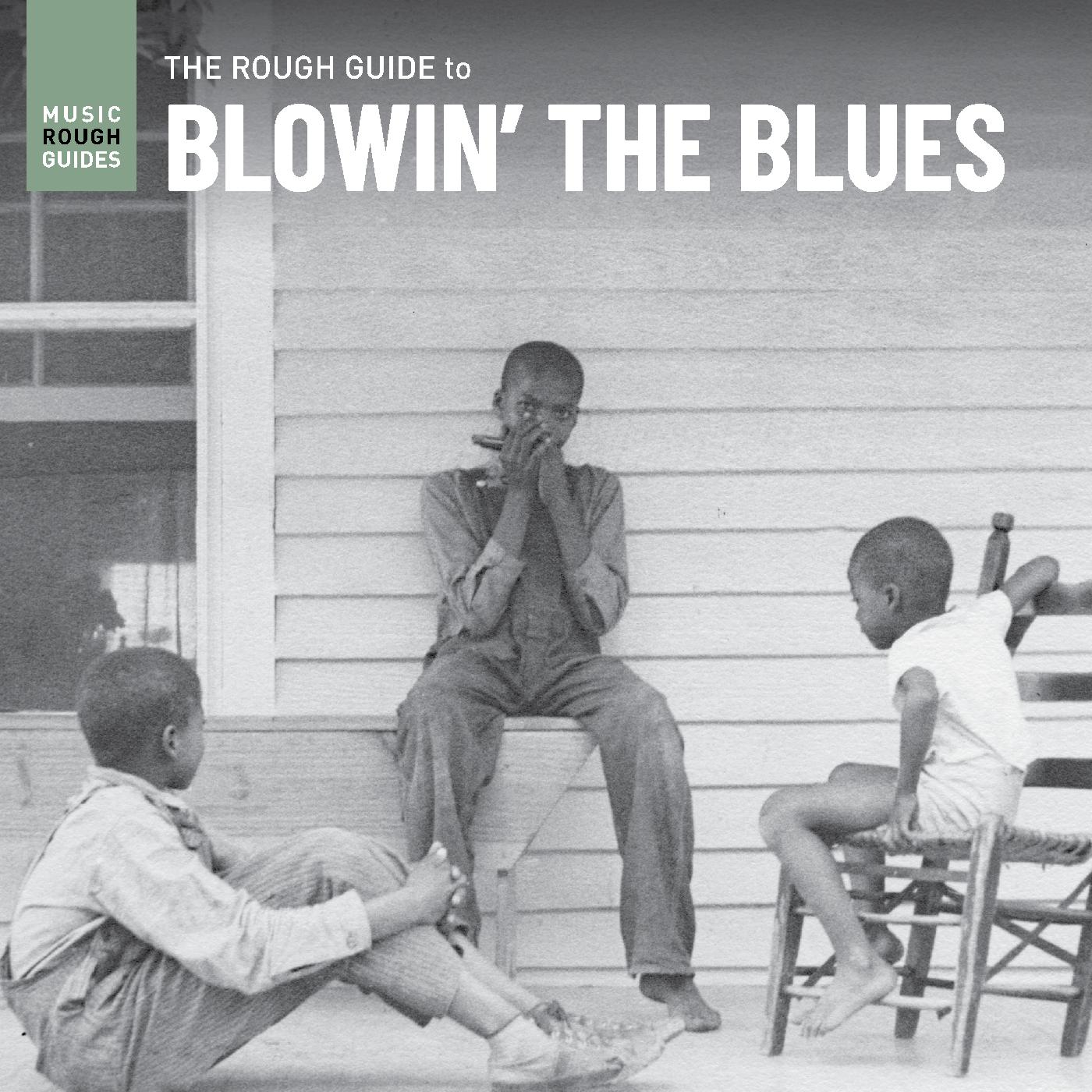 Various Artists - Rough Guide To Blowinâ€™ The Blues | Vinyl