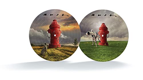Rush - Signals (40th Anniversary Edition) (Limited Edition, Picture Disc Vinyl) | Vinyl