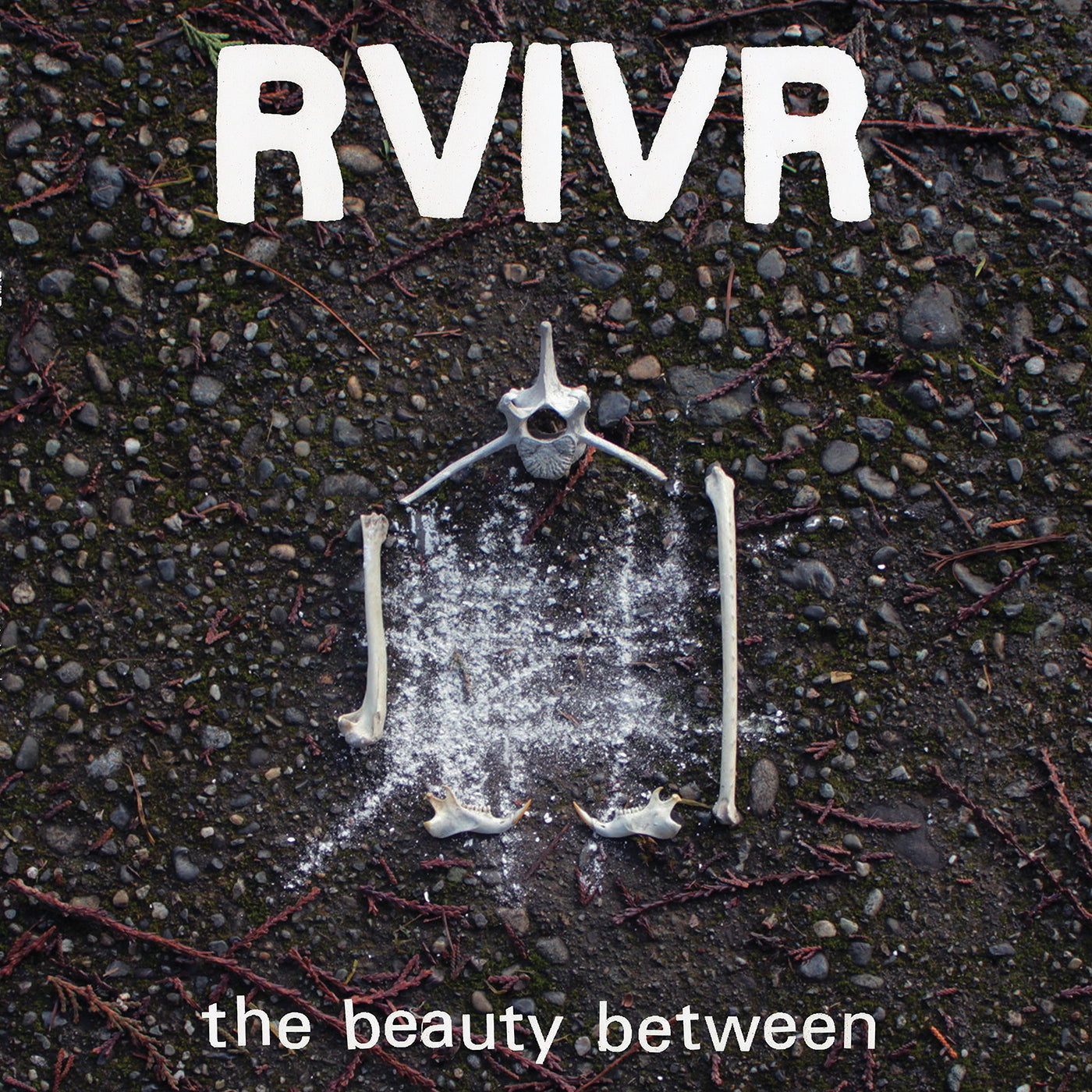 Rvivr - The Beauty Between | CD