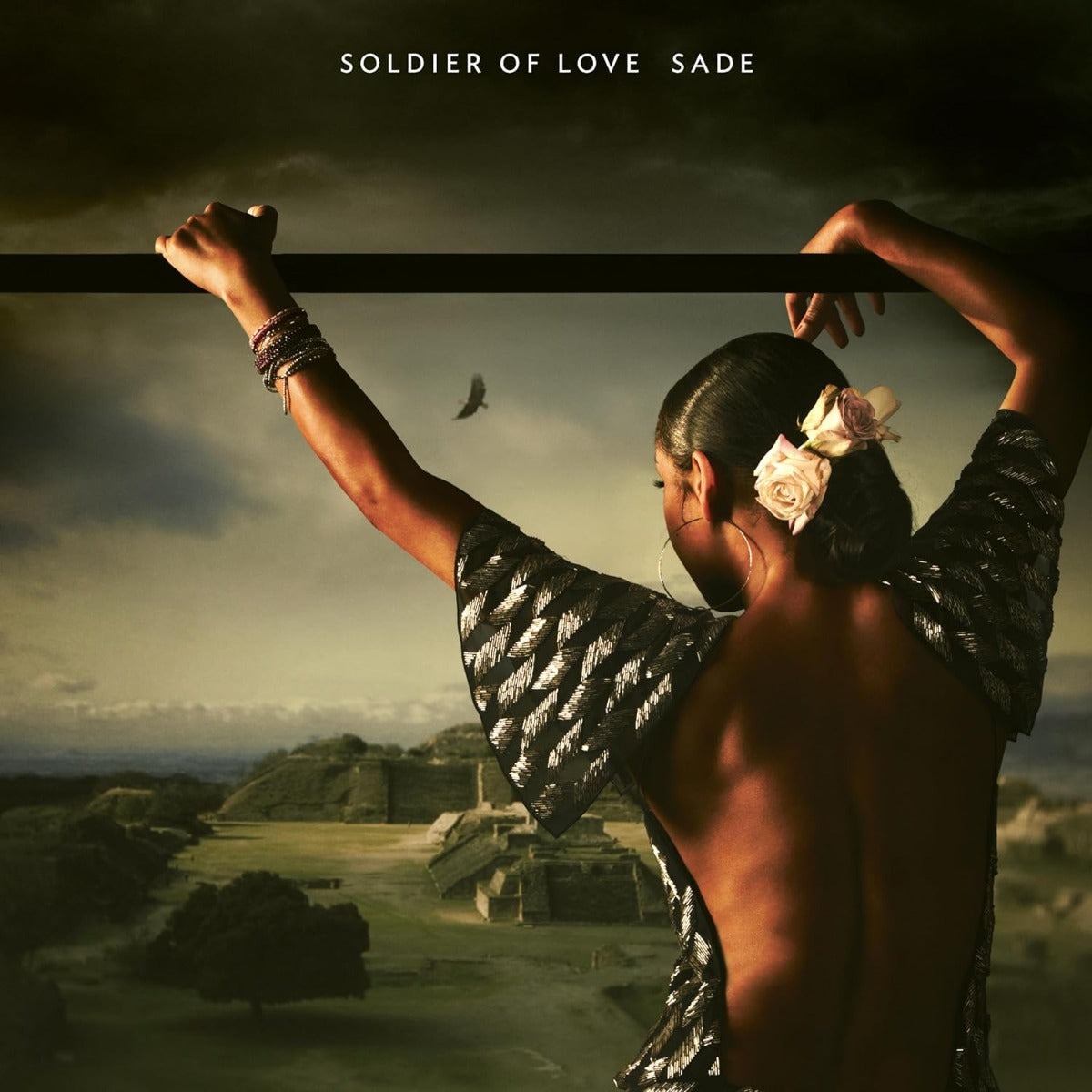 Sade | Soldier Of Love | Vinyl