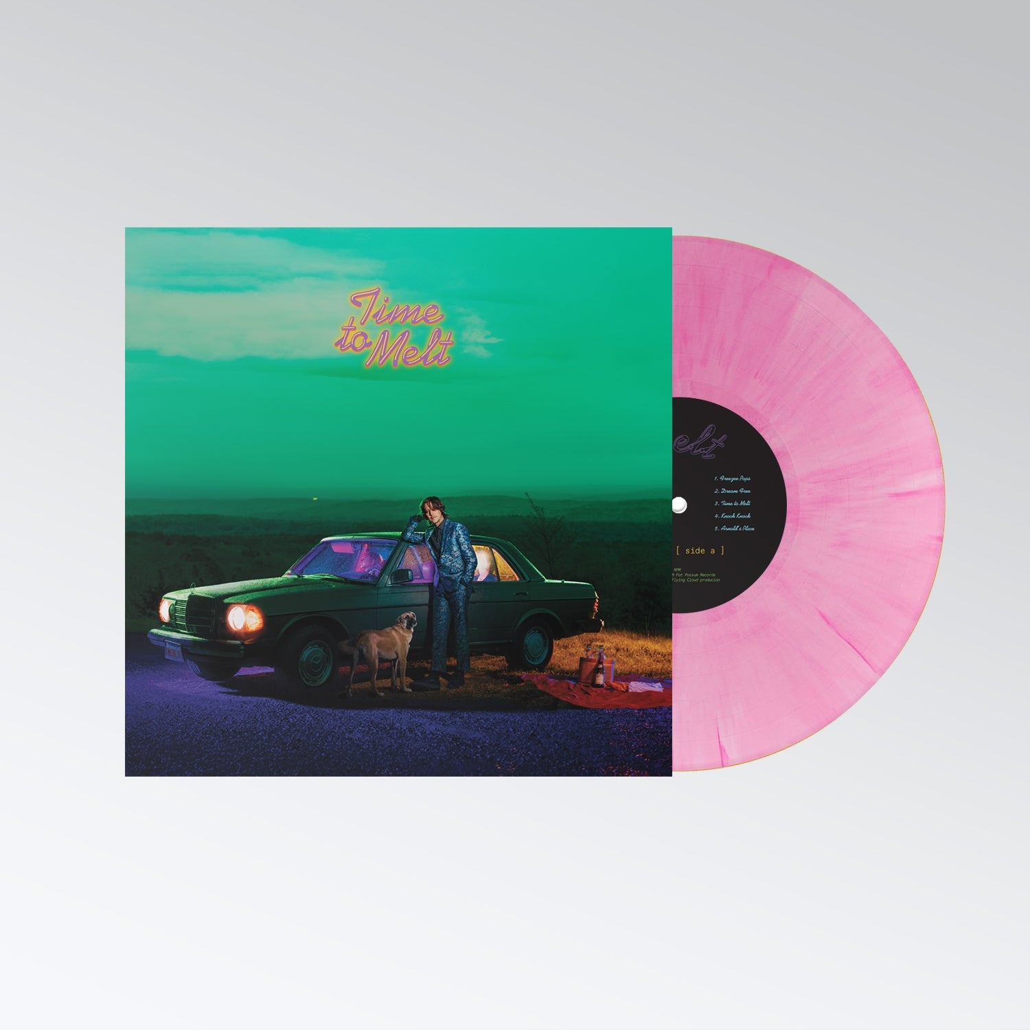 Sam Evian - Time To Melt (Indie Exlcusive) | Vinyl