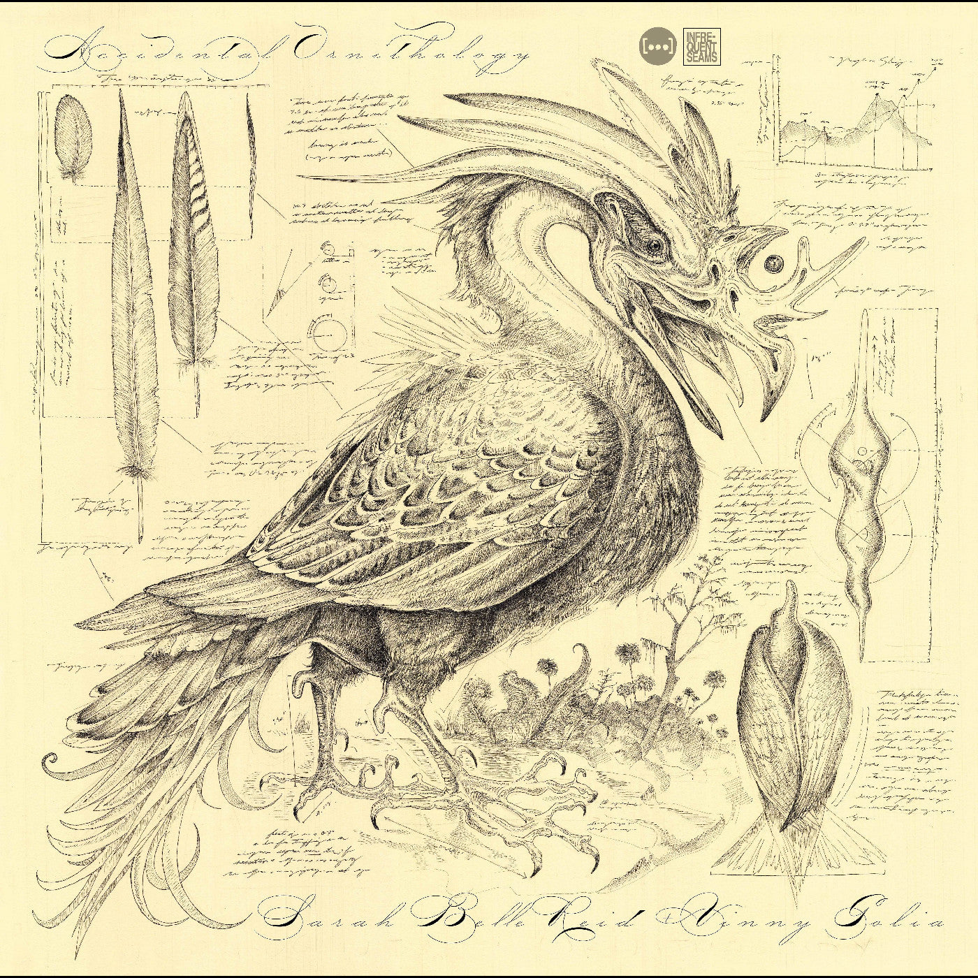 Sarah Belle & Golia Reid - Accidental Ornithology | CD