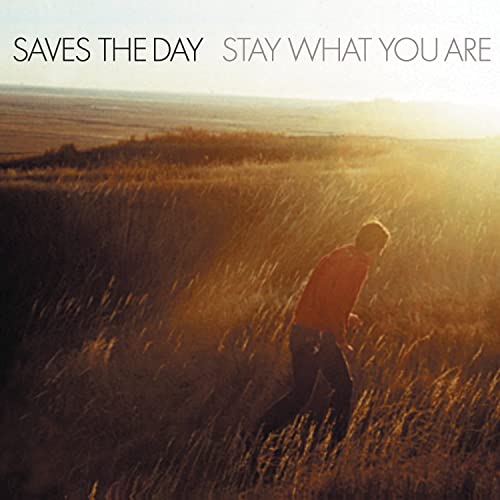 Saves the Day - Stay What You Are (Brown Double 10" Vinyl) [Limited Edition] | Vinyl