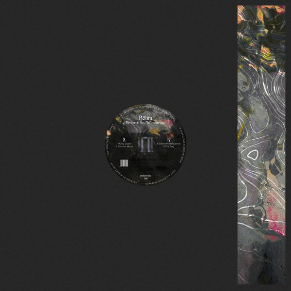 Bohm - Scientific Relevance | Vinyl