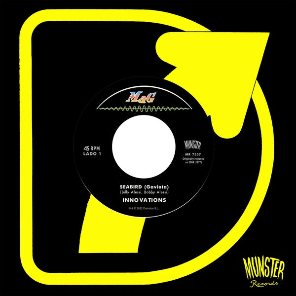 Innovarious Artiststions | Seabird | Vinyl