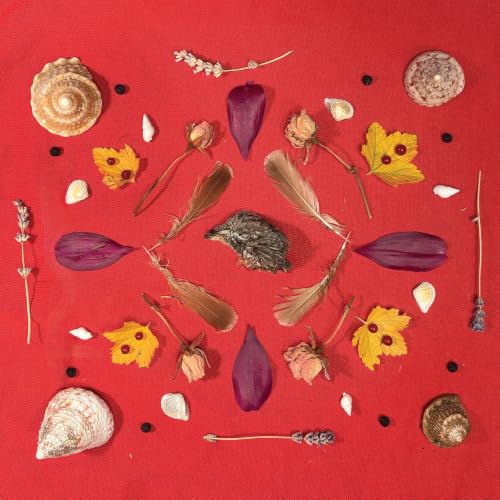 Secret Family - Grouse Head Talisman | CD