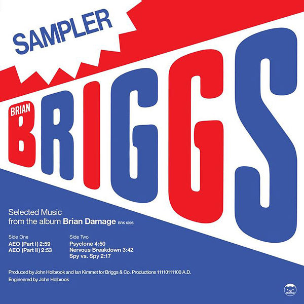 BRIAN BRIGGS - Selected Music From The Album Brian Damage | Vinyl