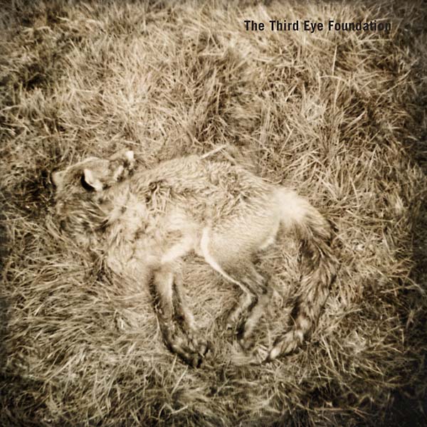 THE THIRD EYE FOUNDATION - Semtex (20th Anniversary Edition) | CD