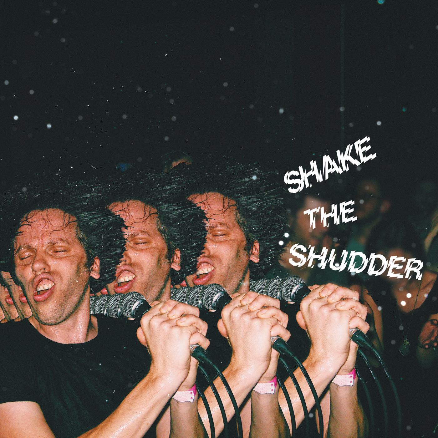 !!! (Chk Chk Chk) | Shake The Shudder | Vinyl