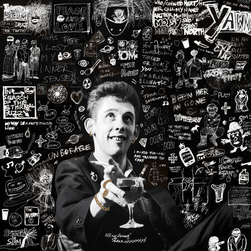 Shane MacGowan - 20th Century Paddy: The Songs of Shane Macgowan (2 Cd's) | CD