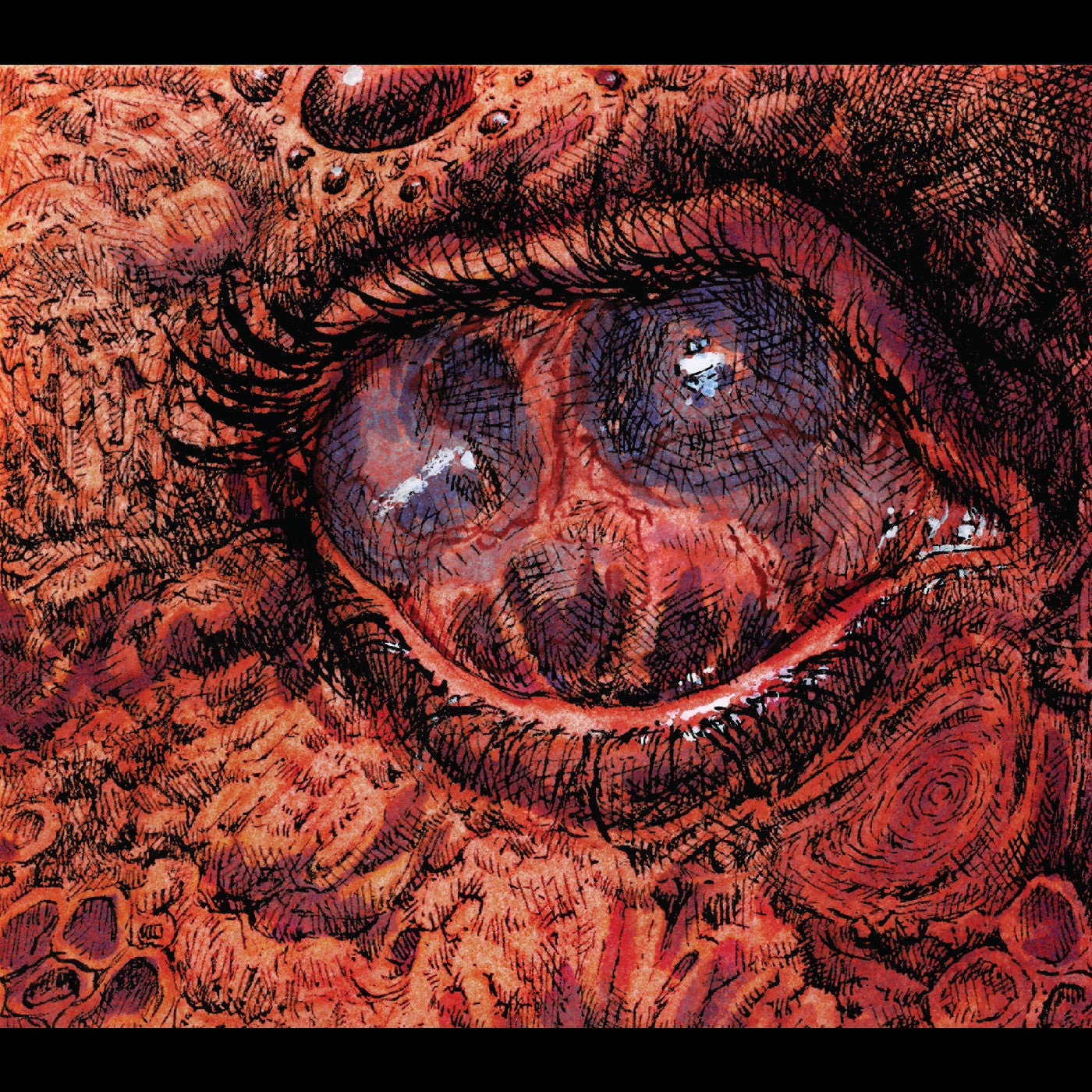 Shardik - Cruelty Bacchanal | CD