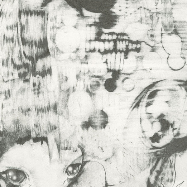 EX WIISH - Shards Of Axel | Vinyl