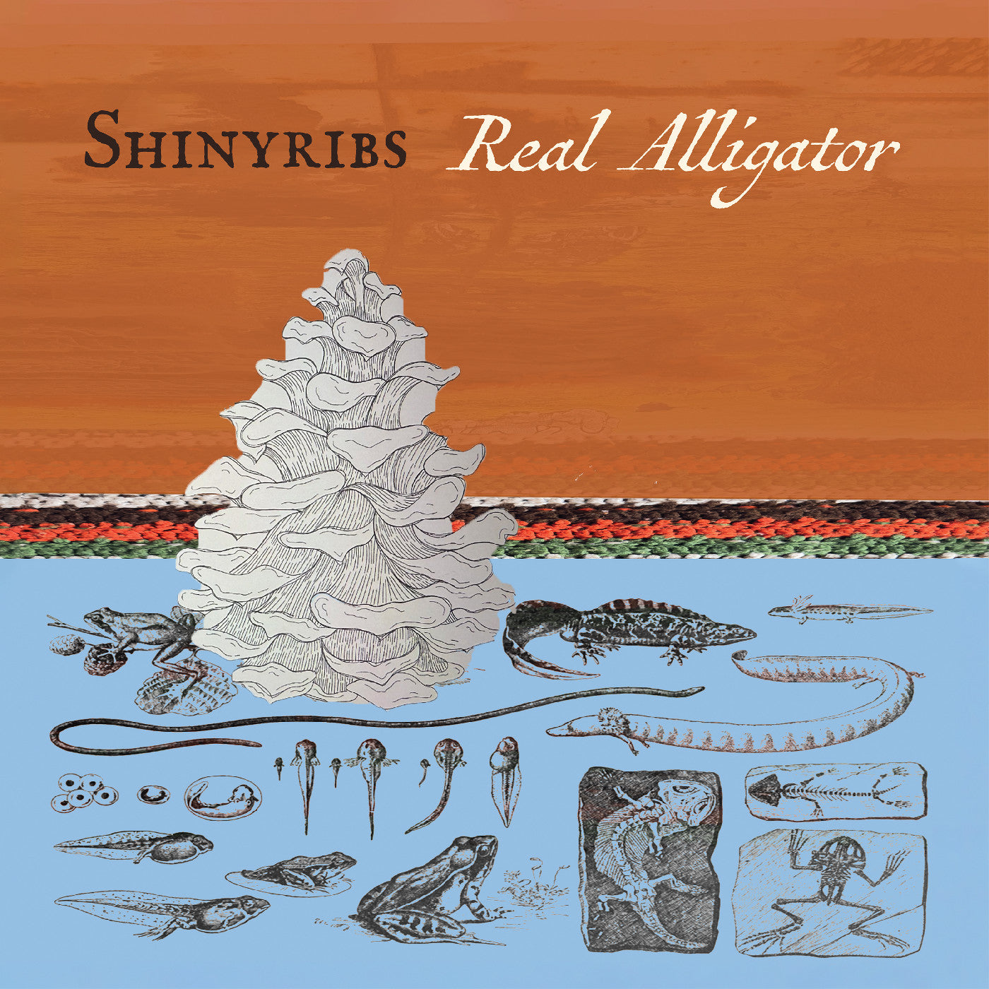 Shinyribs - Real Alligator | CD