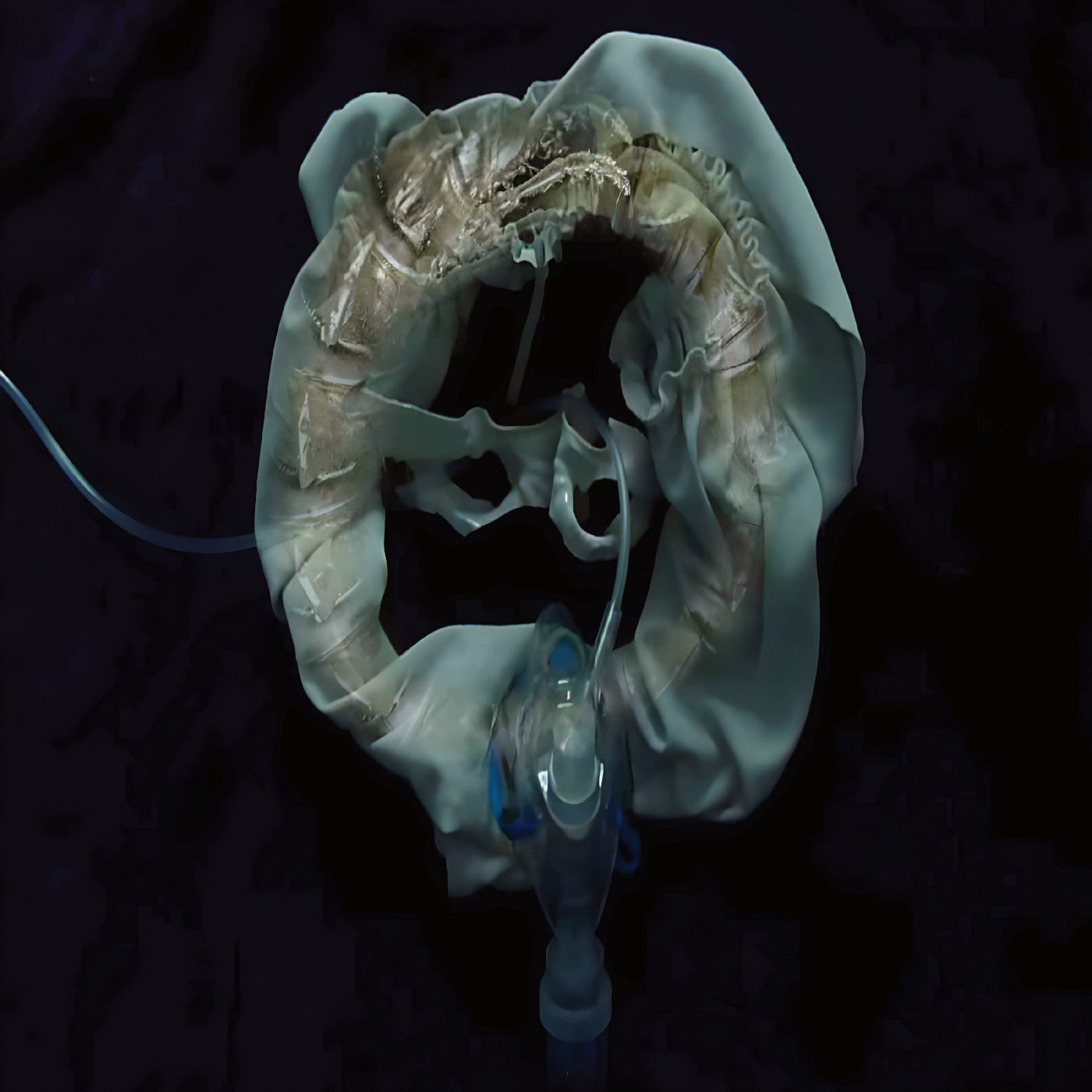 Ship Sket | Initiatrix | Vinyl