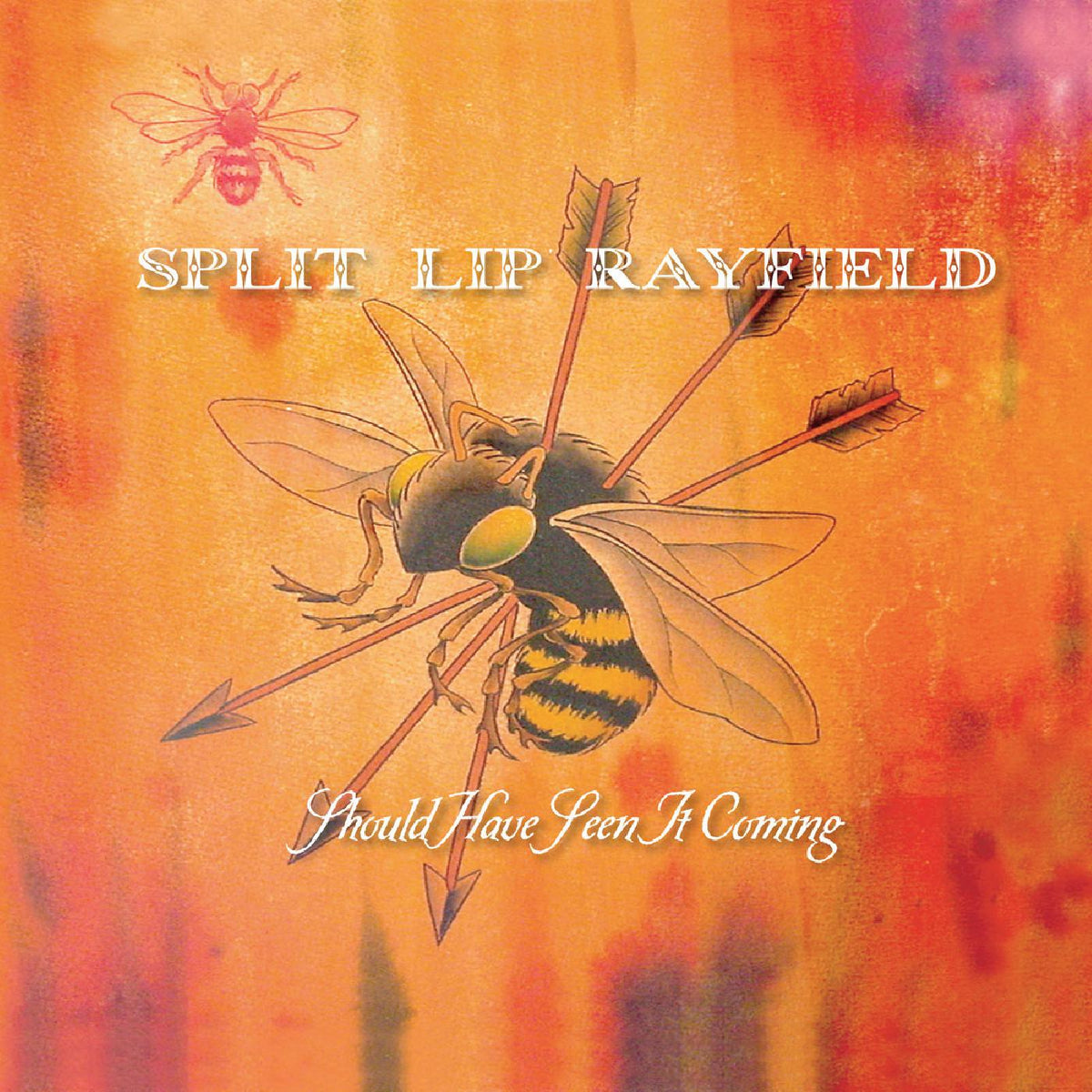 Split Lip Rayfield - Should Have Seen It Coming | CD