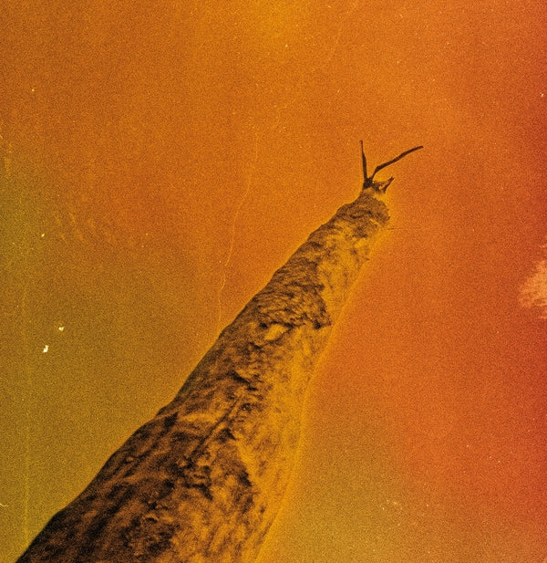FREDERIC D. OBERLAND/GREGORY DARGENT/TONY ELIEH/WA - SIHR | Vinyl