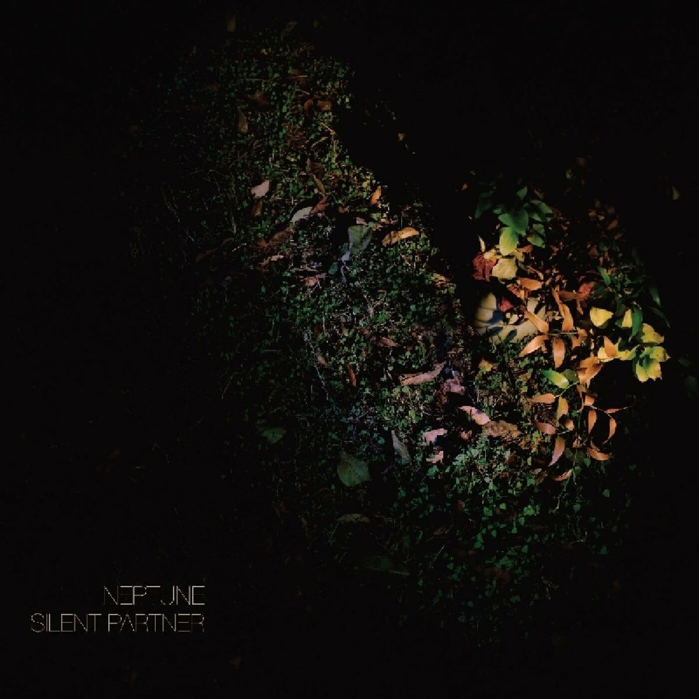 Neptune - Silent Partner | Vinyl