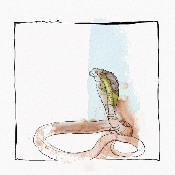 DAVID MAYER - Skanda EP | Vinyl