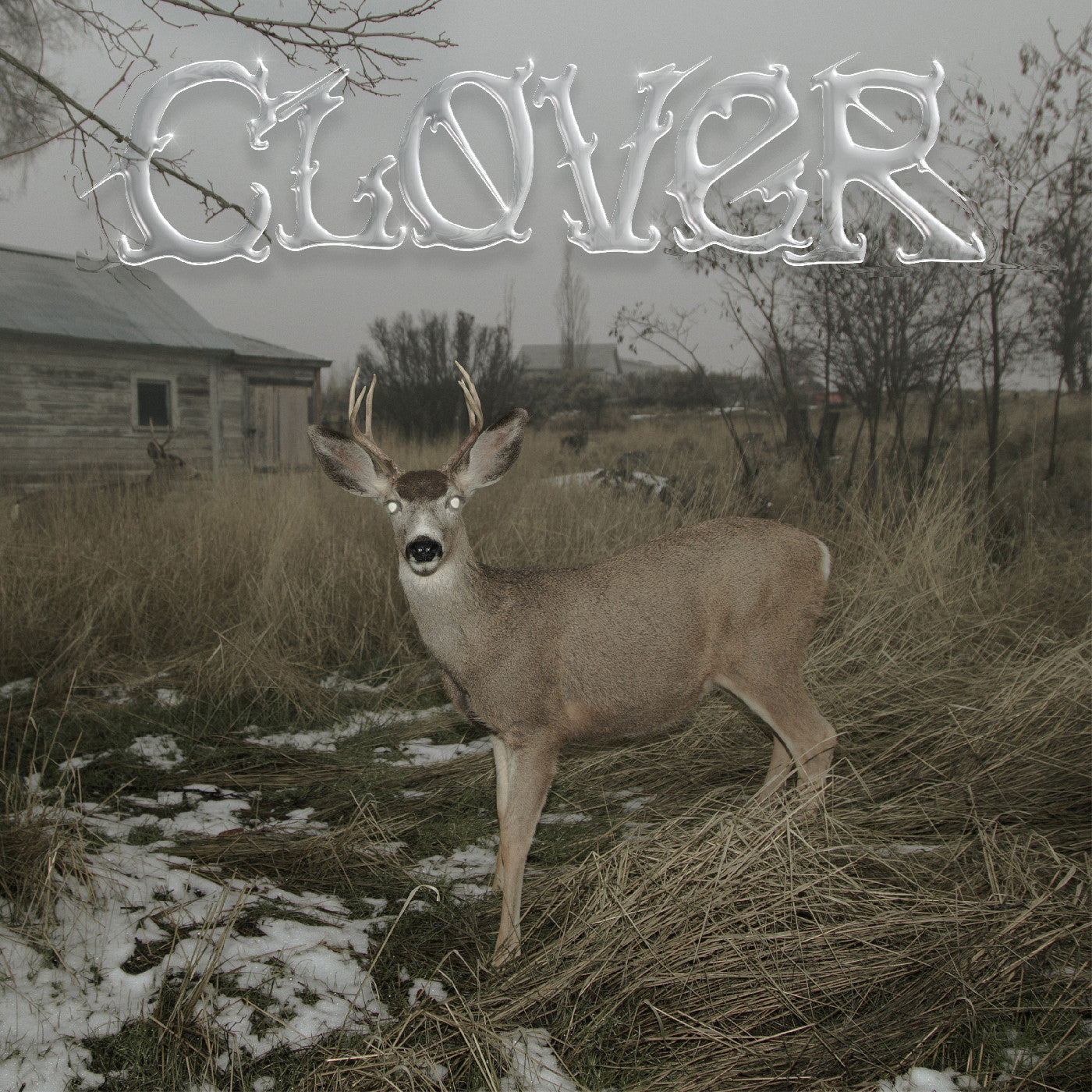 Sleeper'S Bell - Clover | Vinyl