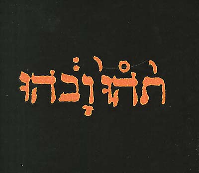 GODSPEED YOU! BLACK EMPEROR | Slow Riot For New Zero Kanada | CD