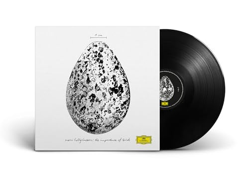 Snorri Hallgromsson - The Importance Of Birds [12" Ep] | Vinyl