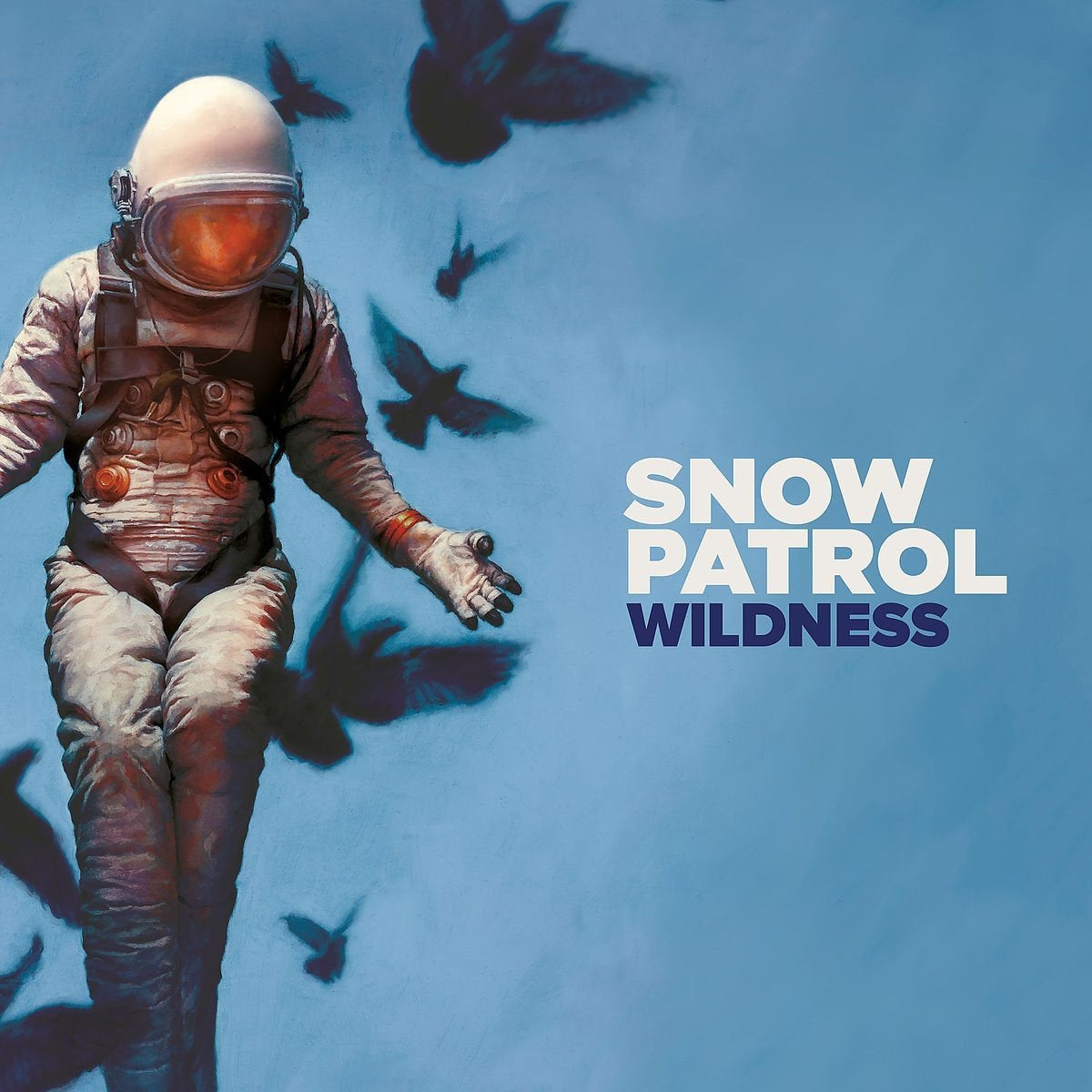 Snow Patrol - WILDNESS | Vinyl