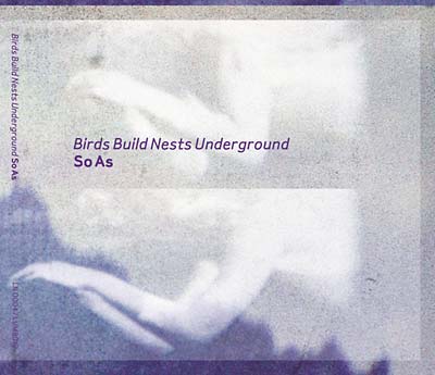 BIRDS BUILD NESTS UNDERGROUND - So As | CD