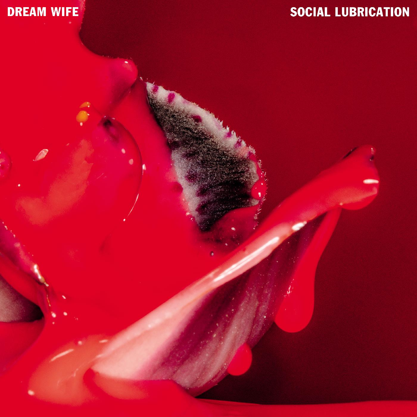 Dream Wife | Social Lubrication (DEEP RED VINYL) | Vinyl