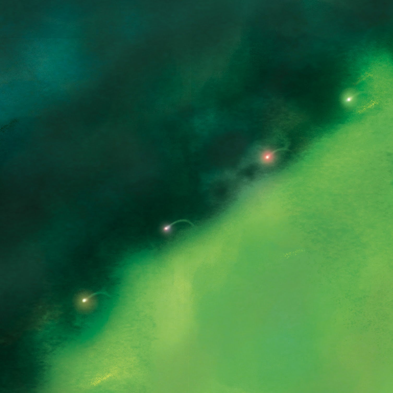 Syd Matters | Someday We Will Foresee Obstacles | Vinyl